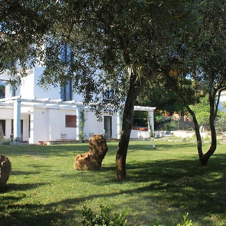 Villa La Conchiglia Rooms Cala Liberotto Εξωτερικό φωτογραφία