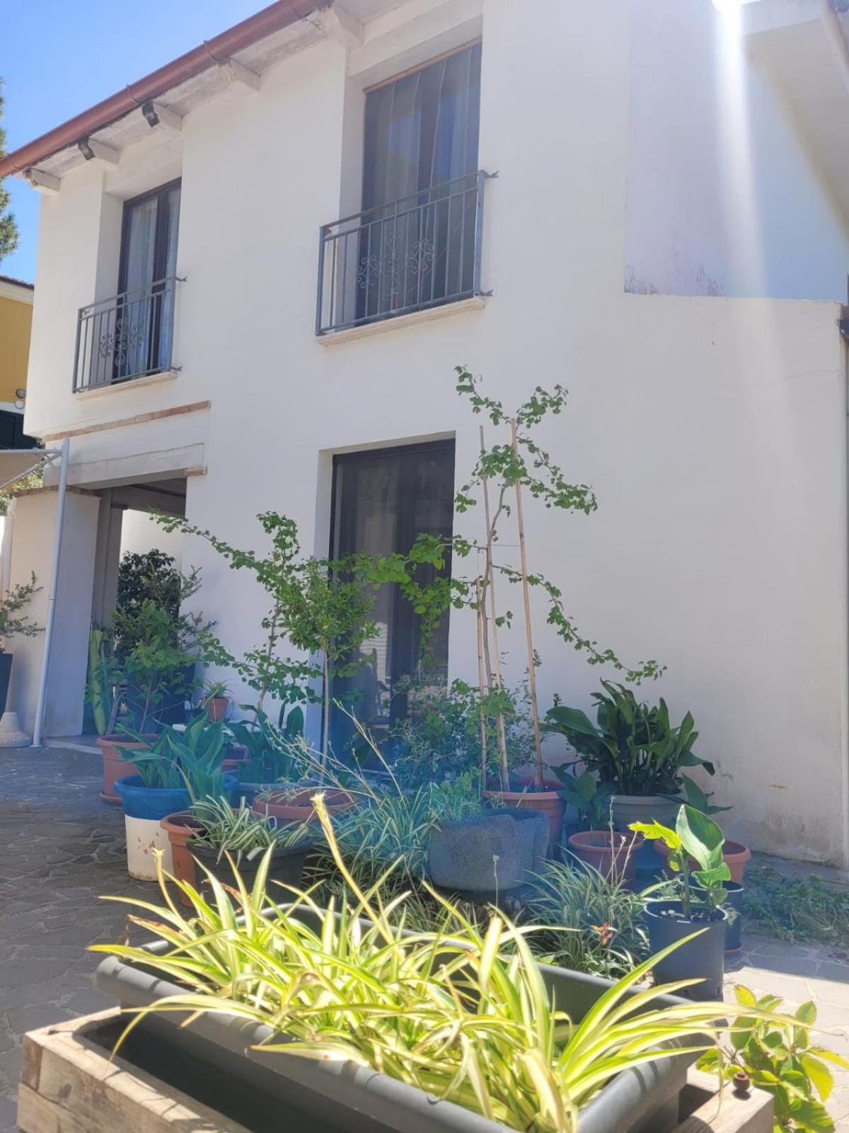Villa La Conchiglia Rooms Cala Liberotto Εξωτερικό φωτογραφία
