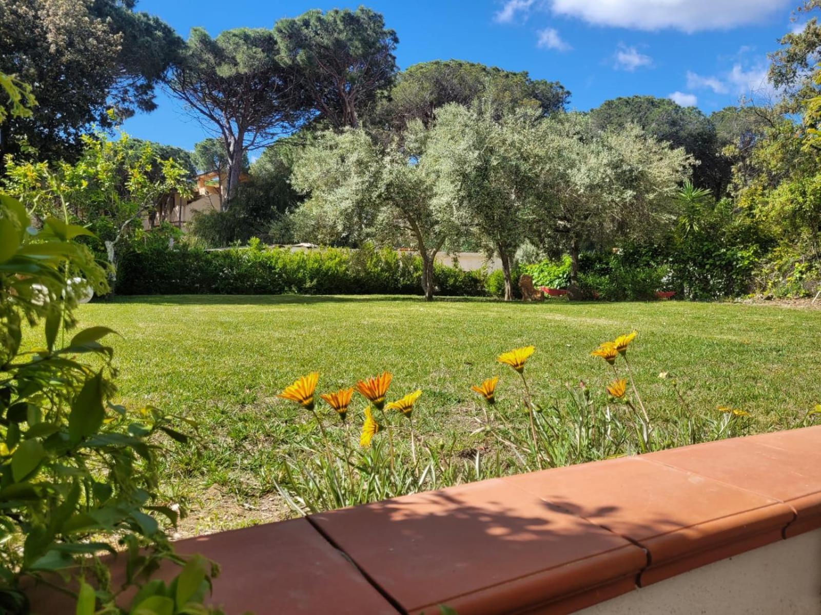 Villa La Conchiglia Rooms Cala Liberotto Εξωτερικό φωτογραφία