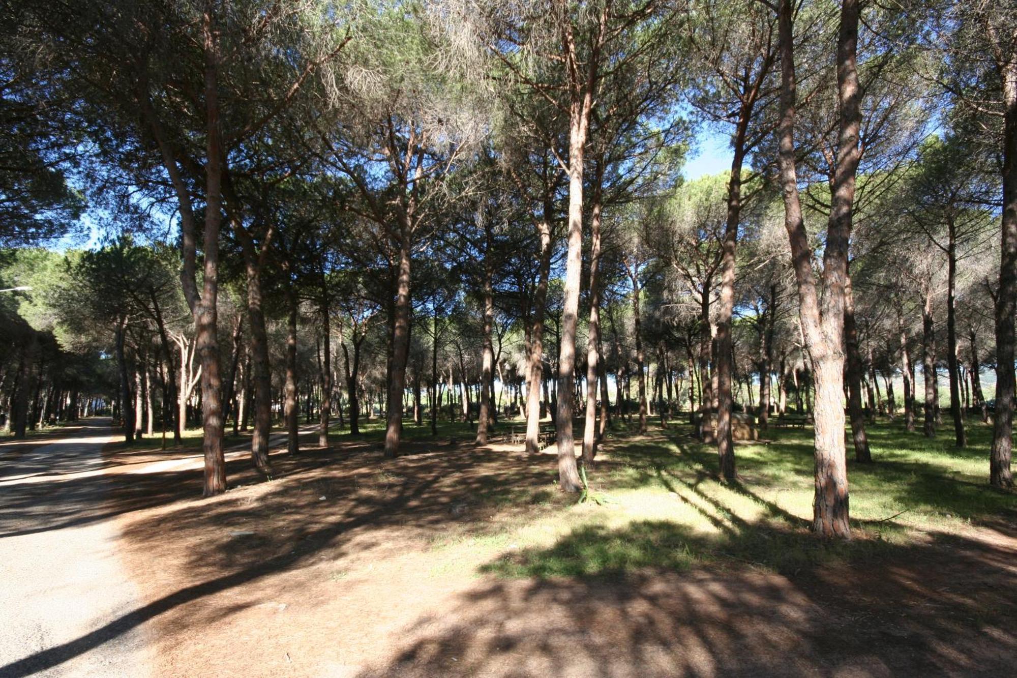 Villa La Conchiglia Rooms Cala Liberotto Εξωτερικό φωτογραφία