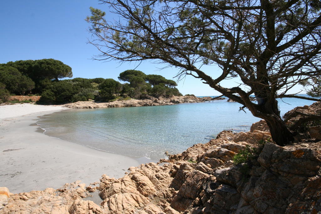 Villa La Conchiglia Rooms Cala Liberotto Εξωτερικό φωτογραφία