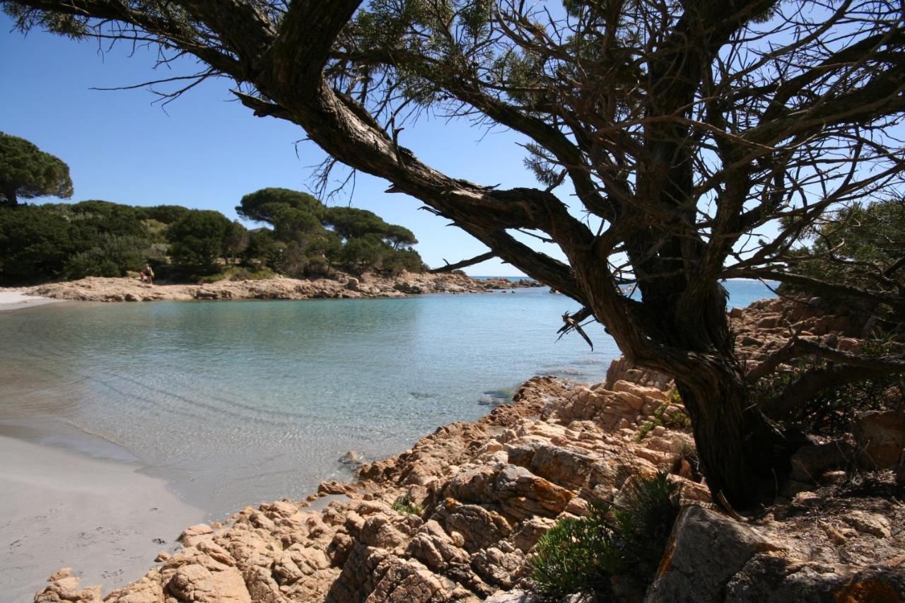 Villa La Conchiglia Rooms Cala Liberotto Εξωτερικό φωτογραφία
